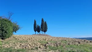 Toscane