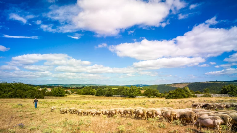 Planning Aveyron